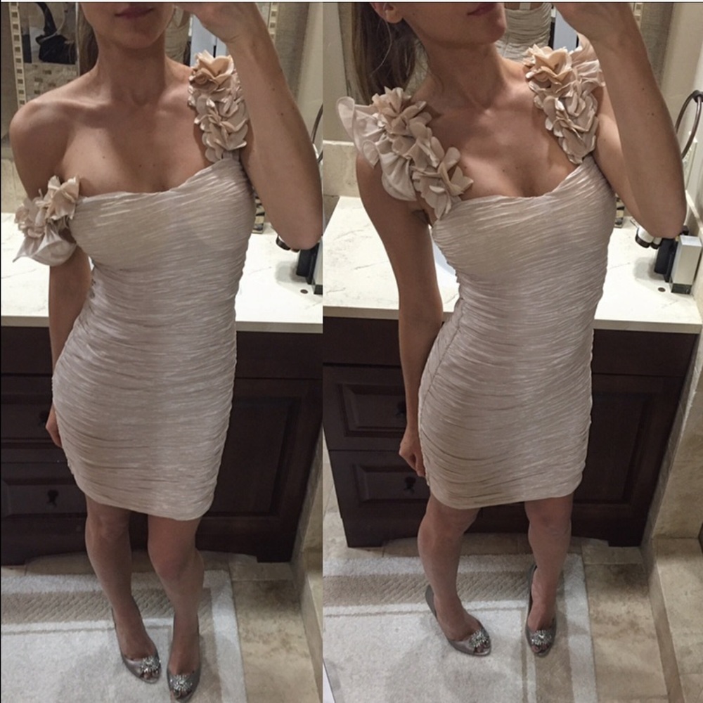 Champagne Pencil Dress💝